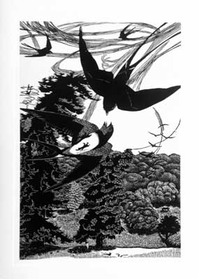 Hirundines of Selborne image