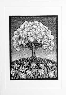 The Spring Gardens image
