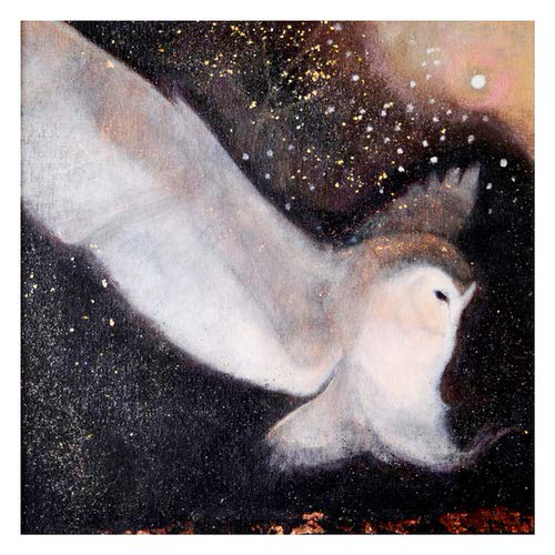 Soft night descending