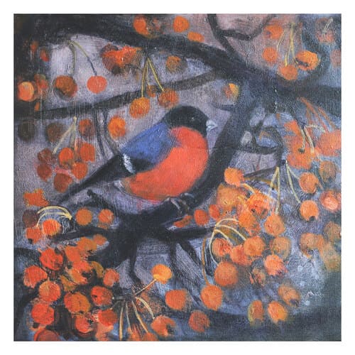 The Bullfinch in January