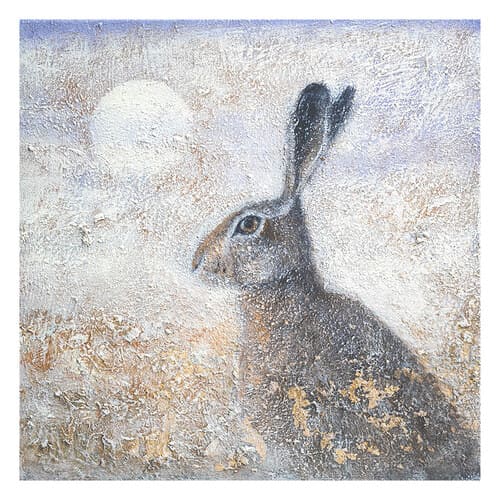 Solstice morning