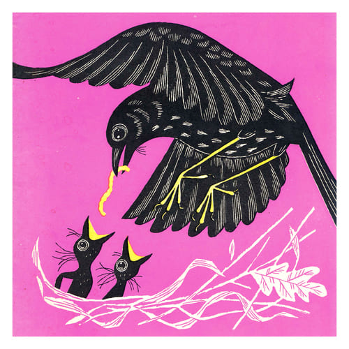 1952 nest