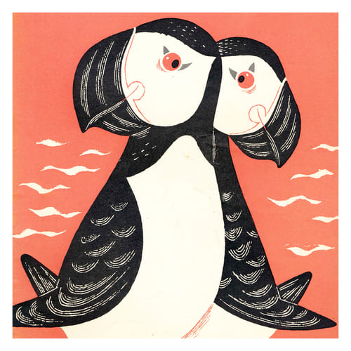 1954 Puffins
