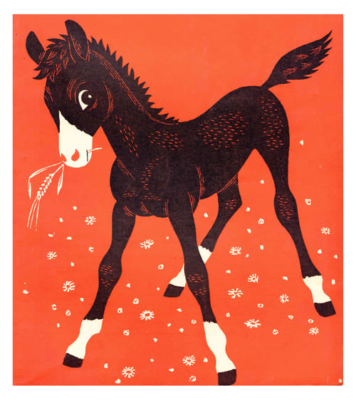 1955 Foal