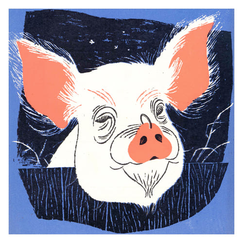 1958 Pig