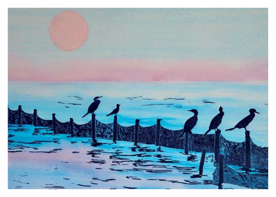 Cormorants