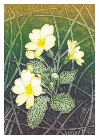 Primrose