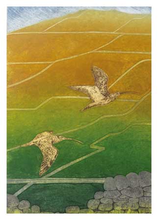 Fellside - Summer