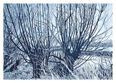 willows greeting card