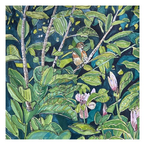 Magnolia
