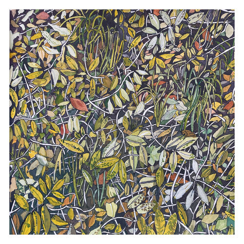 Leaves