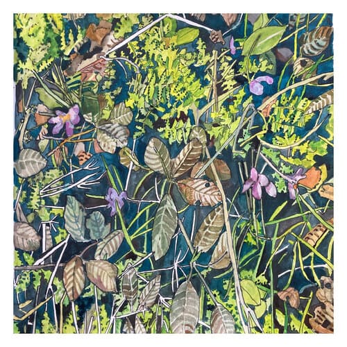 Crocuses