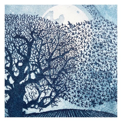 Venn murmuration