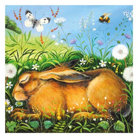 Illustration of a resting brown hare surrounded by wildflowers, a butterfly, and a bee on a sunny day.