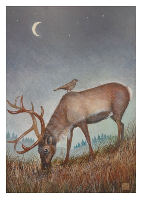 Under a sickle moon