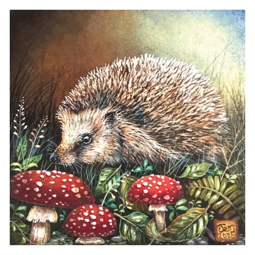 Hedgehogs & toadstools