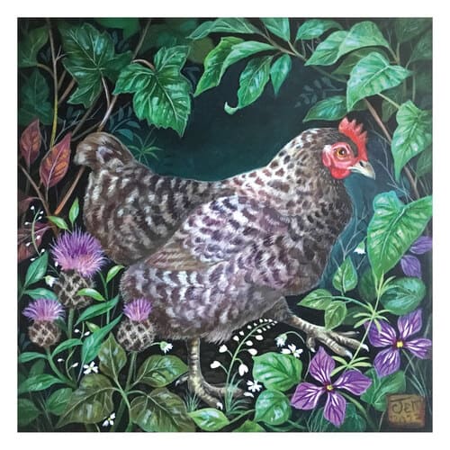 Speckledy hen
