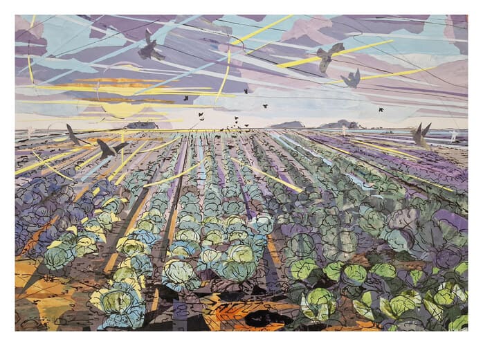 Cabbages & pigeons Lincolnshire