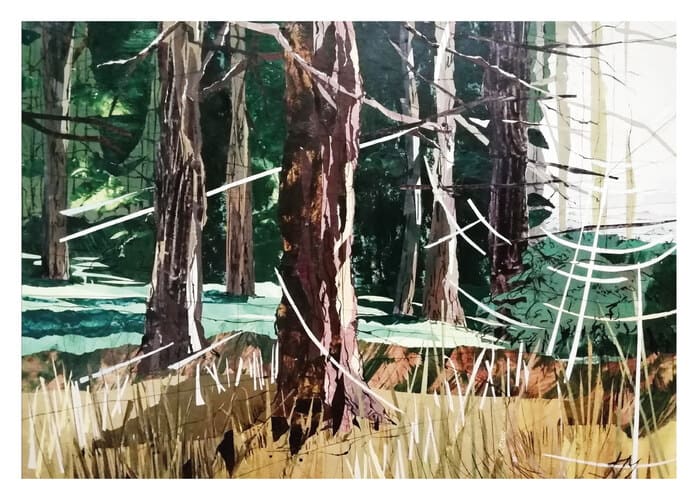 Morning haze through pines