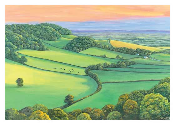 Twinhill woods from Dulcote hill