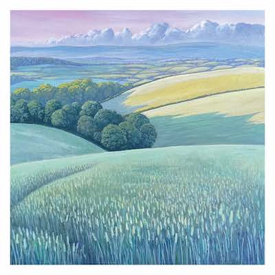 Ripening wheat, early Summer evening