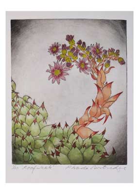Artwork of a curved succulent plant with green and orange leaves and pink daisy-like flowers.