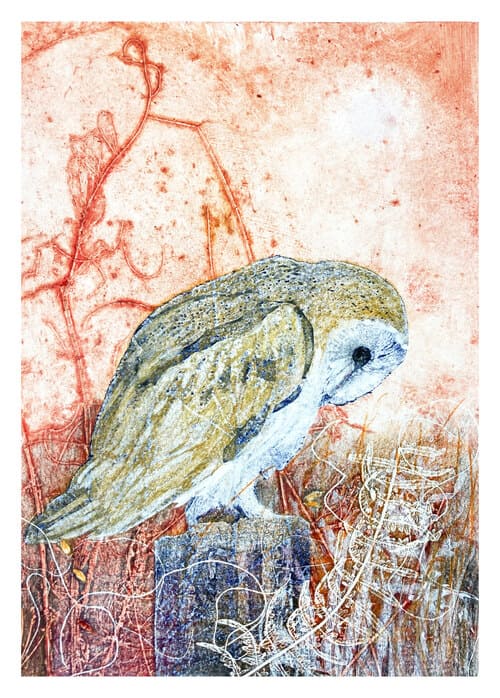 The early owl