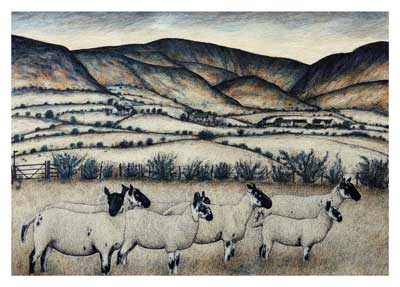 High Summer, Welsh Borders