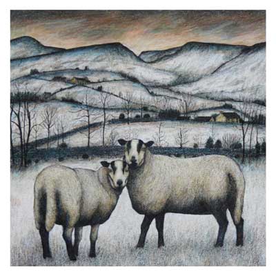 Torddu ewes