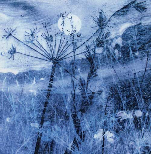 Moonlit Hedgerow