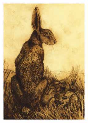 Sepia-toned drawing of a hare sitting upright in grass with a blurred background.
