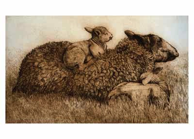 Artwork of two lambs resting on a large sheep lying on grass.