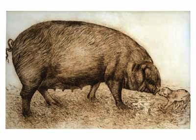 Sketch of a large sow pig facing and sniffing a small piglet on a plain background.
