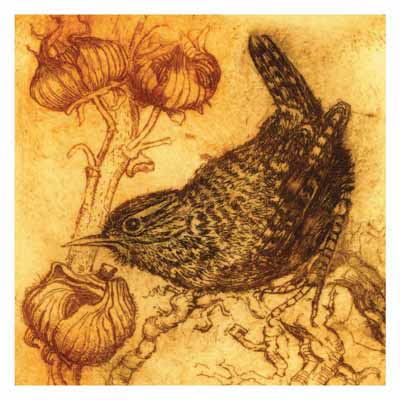 Sepia-toned sketch of a small bird perched near twisted branches with curled leaves or pods.