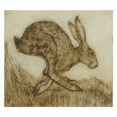 Brown sketched hare crouching on grass with long ears upright, detailed fur texture.