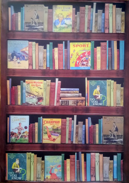 Wooden bookshelf filled with vintage books, including titles about sports, boys, and trivia.