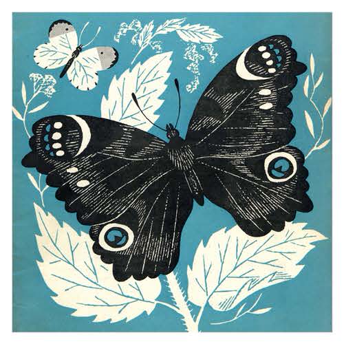 1956 Butterfly