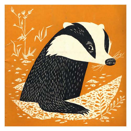 1954 Badger