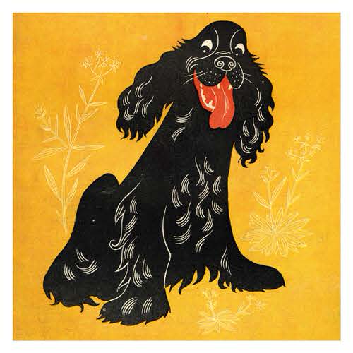 1952 dog