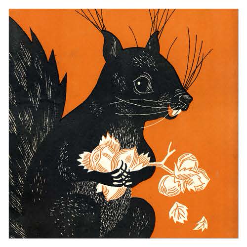 1952 Squirrel