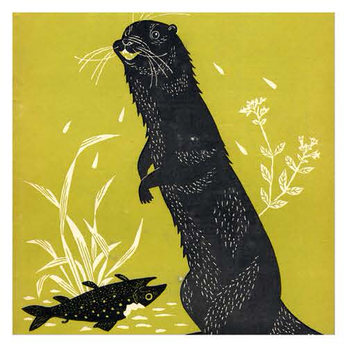 1953 Otter