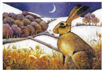 Christmas card - code 55