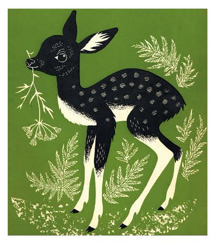 1955 Fawn