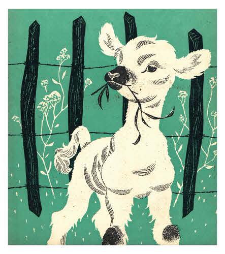 1957 Lamb