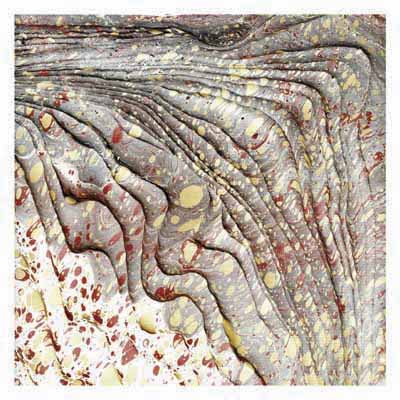 Close-up of textured stone surface with flowing layered patterns and earth-toned colors.