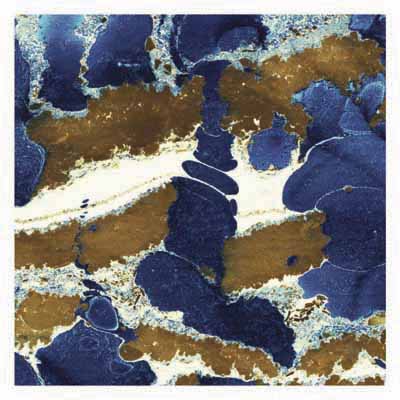 Abstract pattern with irregular dark blue and brown shapes on a white textured background.
