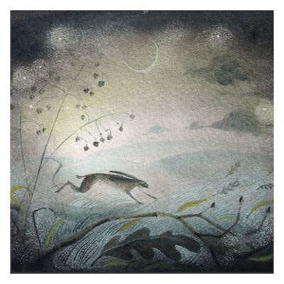 Illustration of a running rabbit at night under a crescent moon with grasses and plants.