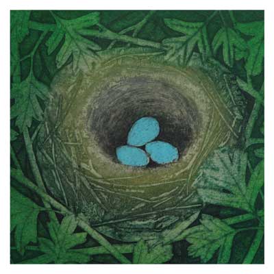 Three blue eggs in a bird's nest surrounded by green foliage.