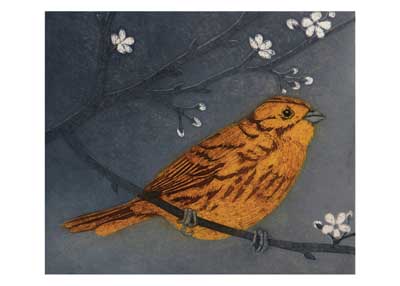 Illustration of an orange bird perched on a branch with white blossoms against a dark gray background.
