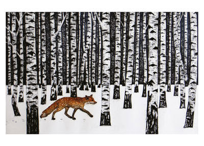 Fox walking through a snowy forest of tall, white birch trees with black markings.